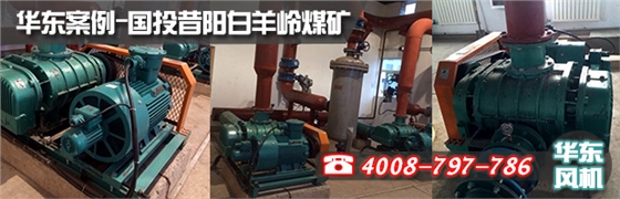 特殊密封羅茨風機