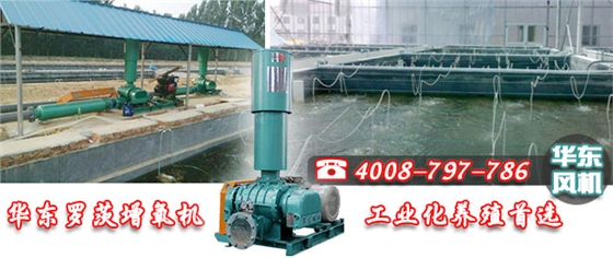羅茨式增氧機(jī)