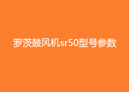 羅茨鼓風機sr50型號參數(shù).jpg