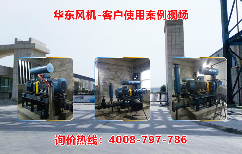 密集型羅茨風(fēng)機